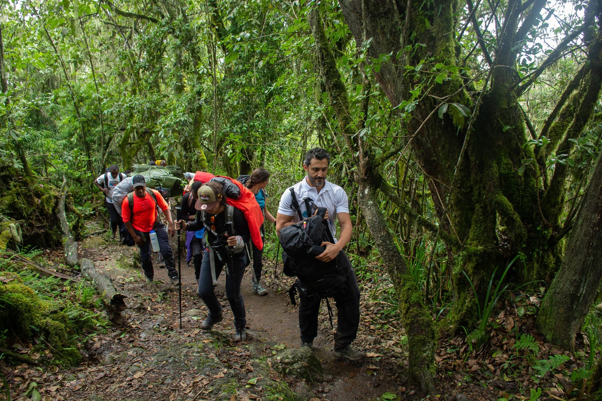 A group hiking through rainforest on the lower slopes