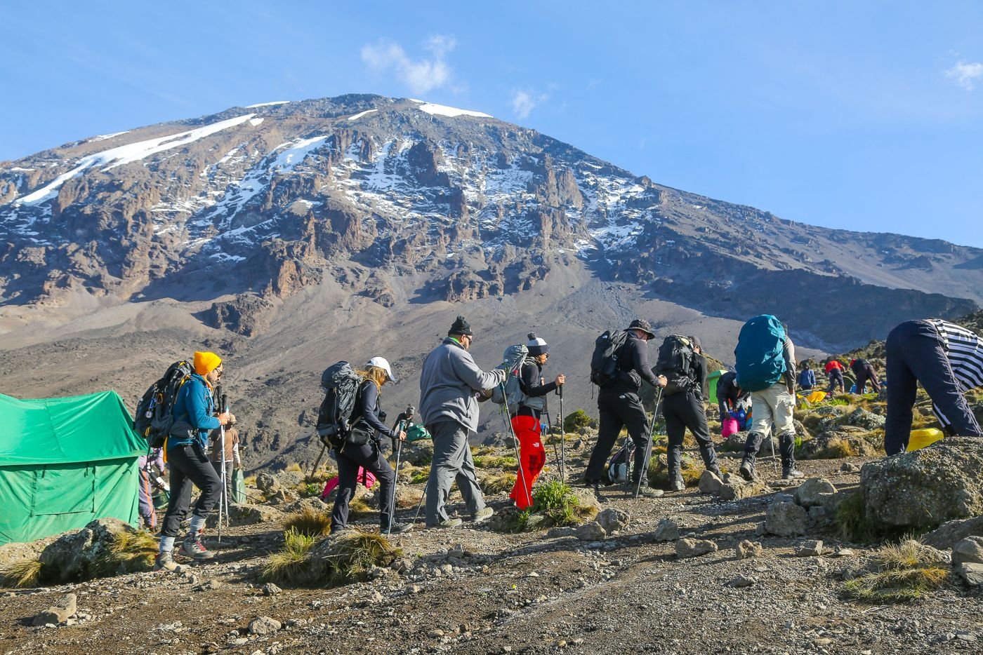 The team walking beneath the snow-capped summit of Kilimanjaro